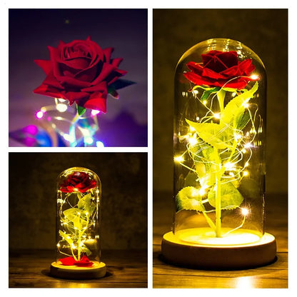 Led Enchanted Galaxy Rose Decor